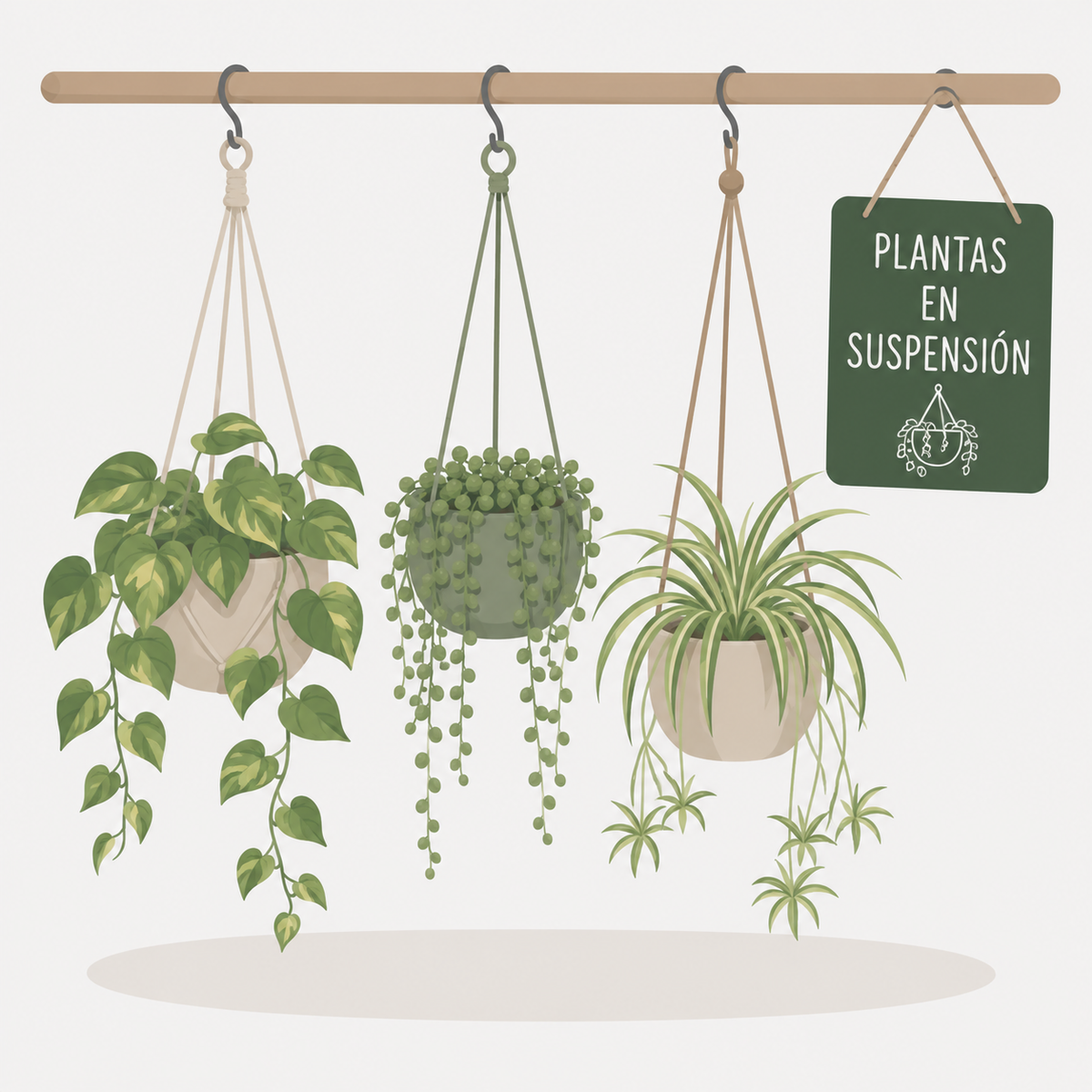 Plantas en Suspensión